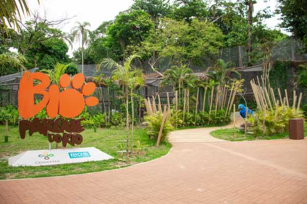 RIO WILDLIFE TOUR + BIOPARK + AQUARIO
