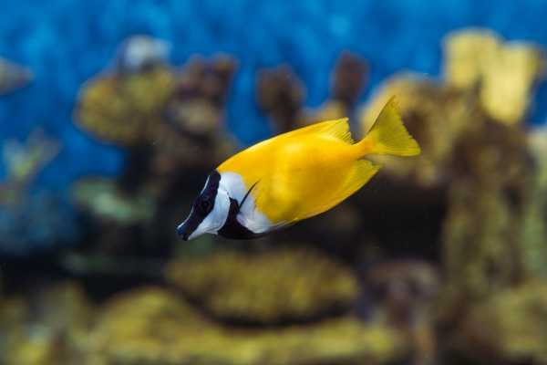 RIO WILDLIFE TOUR + BIOPARK + AQUARIO