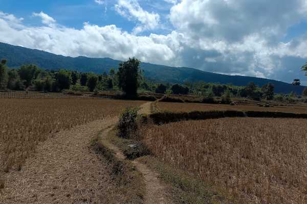 Trekking tour plain of jars site 2 to site 3
