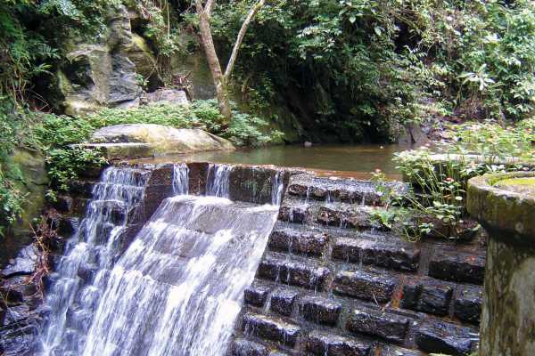 ABSEILING DOWN HORTO WATERFALL + TIJUCA FOREST