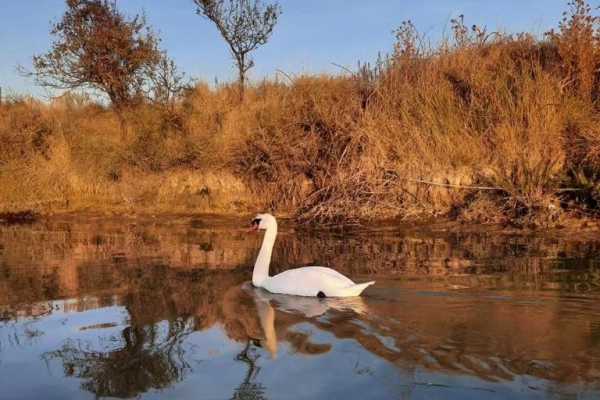 Escursioni Natura in canoa canadese