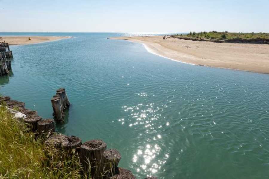 Discover Cervia (ERW) Escursioni Natura in canoa canadese