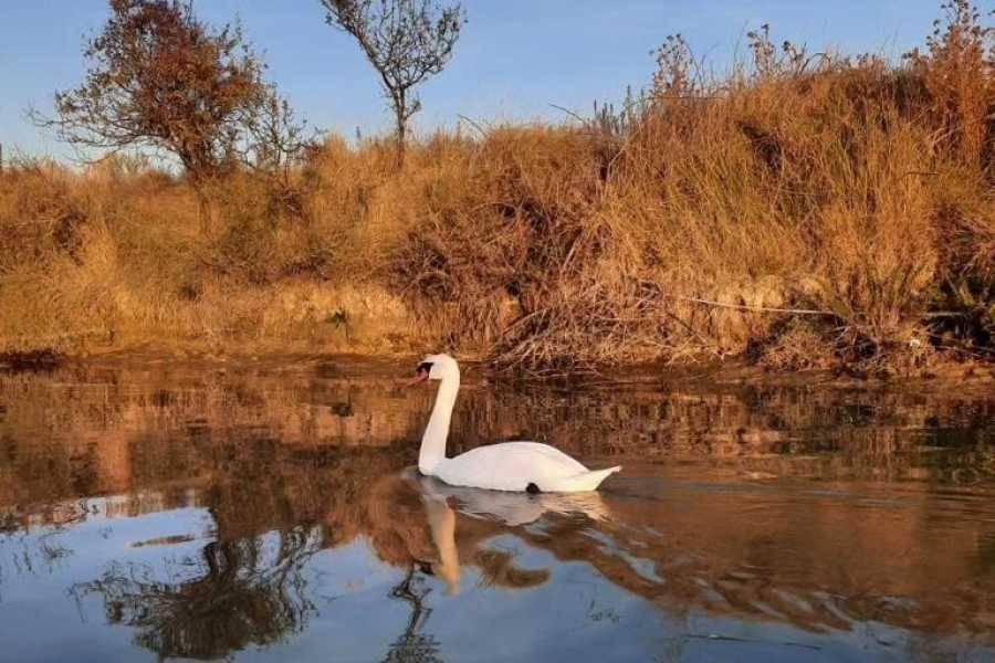 Discover Cervia (ERW) Escursioni Natura in canoa canadese