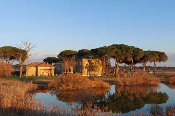 Escursioni Natura in canoa canadese all'alba
