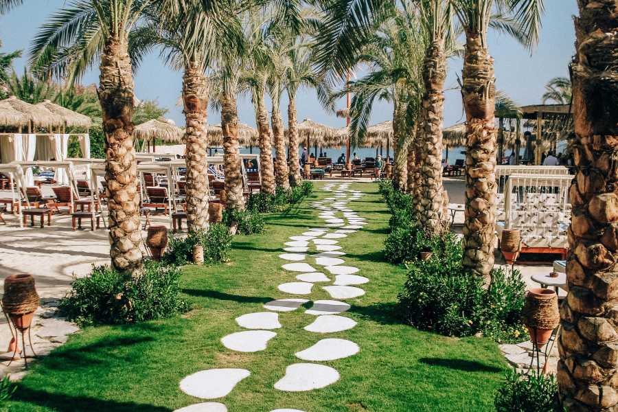 ترانسفير من مطار الغردقة الدولي إلى فندق في مدينة الغردقة