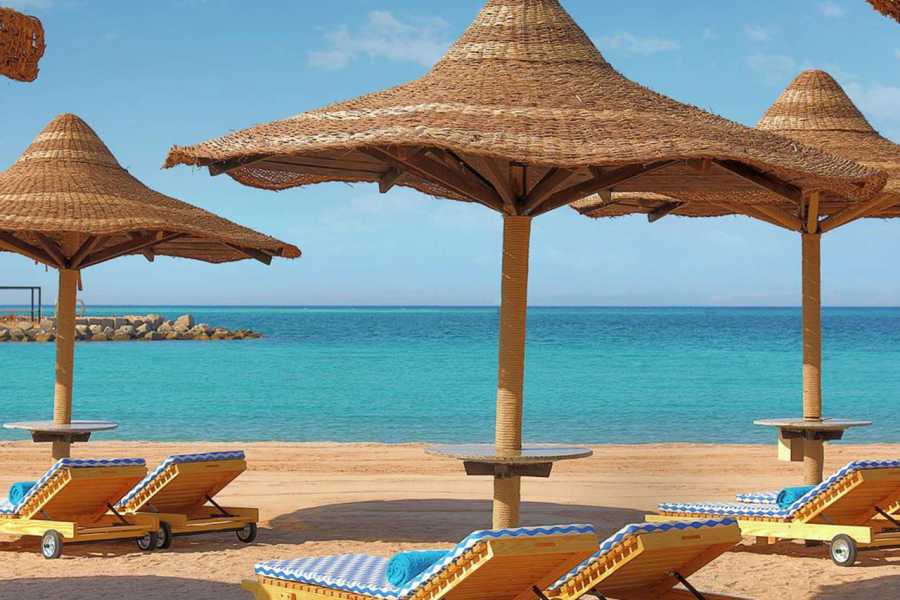 Egypt Tour packages Traslado desde el aeropuerto de Hurghada al hotel en Hurghada.