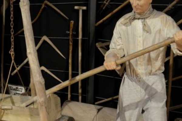 Museo del Sale - Ticket