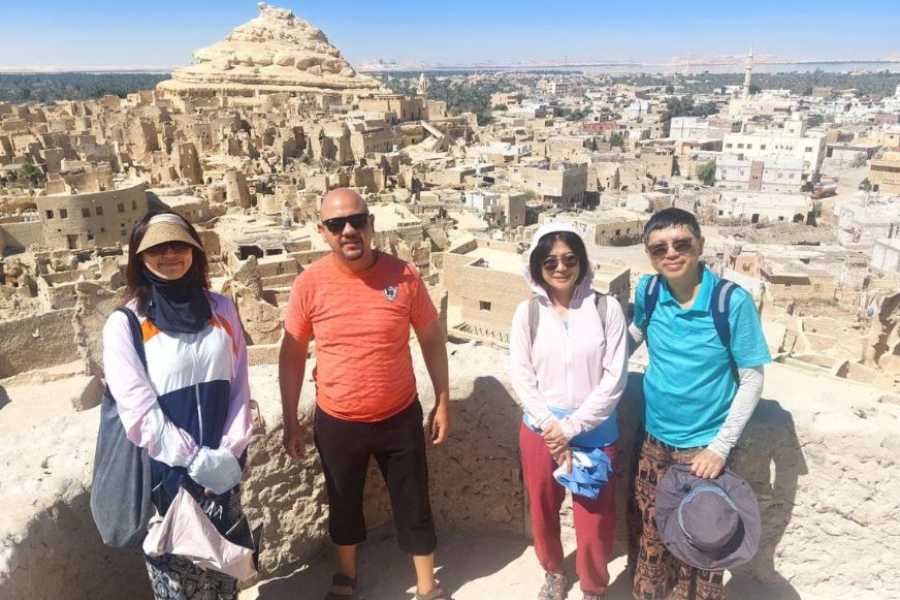 Egypt Tour packages 4-Day Private Tour to Alexanderia and Siwa Oasis from Cairo
