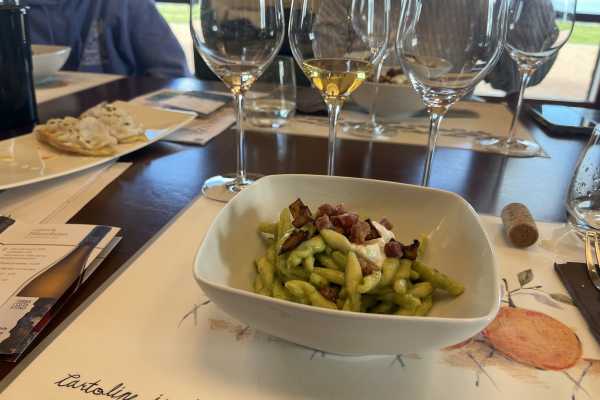 Degustazione di Vini nel Versante Sud dell'Etna
