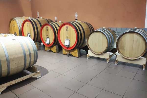 Degustazione di Vini nel Versante Sud dell'Etna
