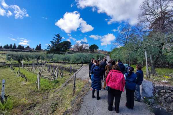 Degustazione di Vini nel Versante Sud dell'Etna