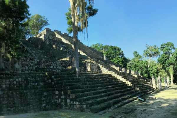 Antigua Ciudad Maya de Calakmul desde Xpujil