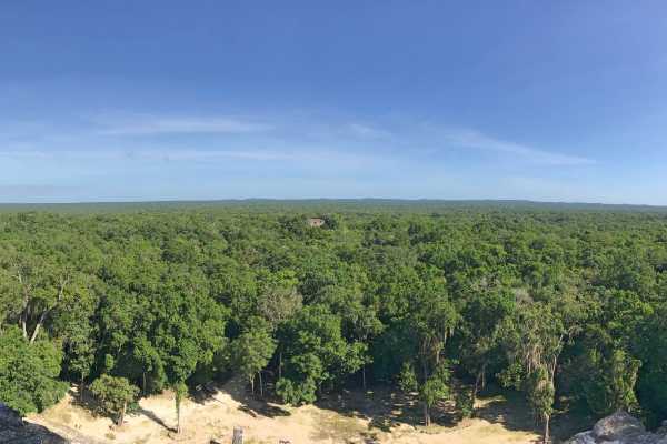 Antigua Ciudad Maya de Calakmul desde Xpujil