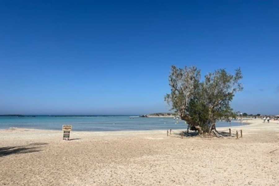 Destination Platanias Elafonissi Road Trip