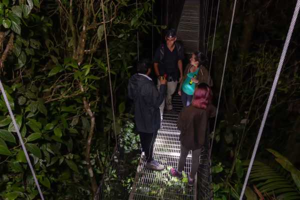 Rain Forest Night Walk