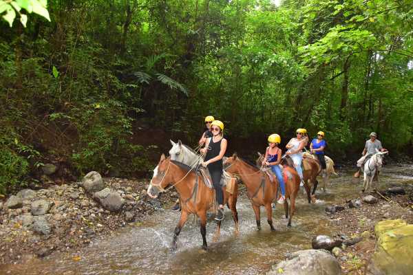 Horseback Riding and Monkey Sanctuary Tour