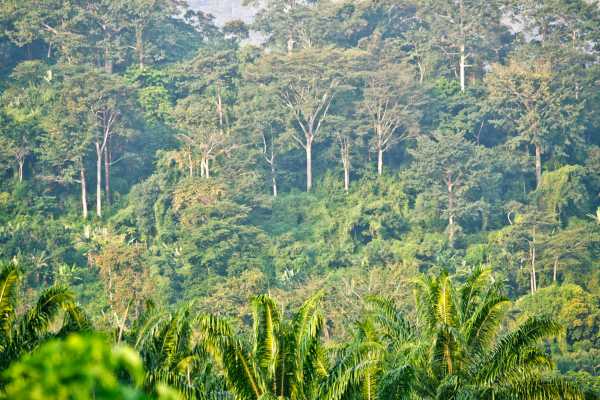 Horseback Riding and Monkey Sanctuary Tour