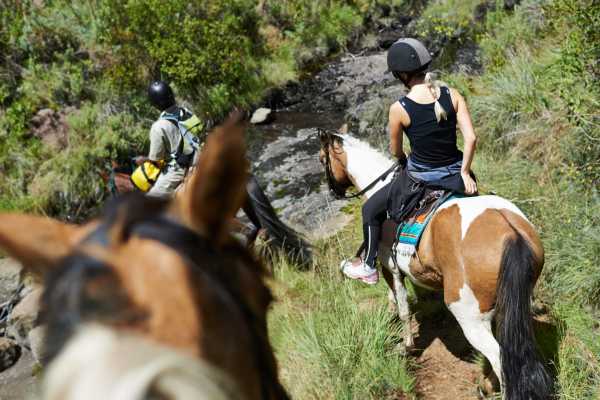 Horseback Riding and Monkey Sanctuary Tour