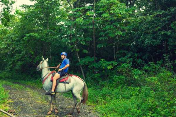 Horseback Riding and Monkey Sanctuary Tour
