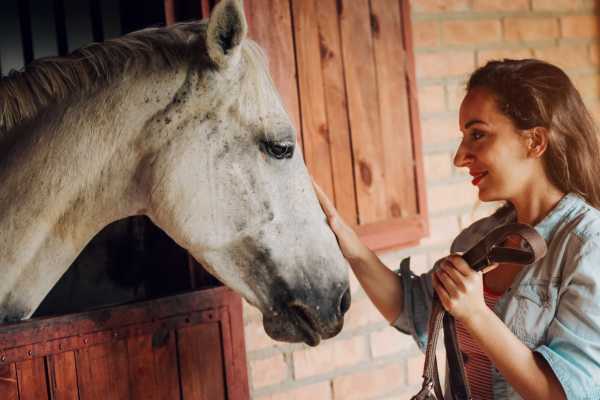Horseback Riding and Monkey Sanctuary Tour