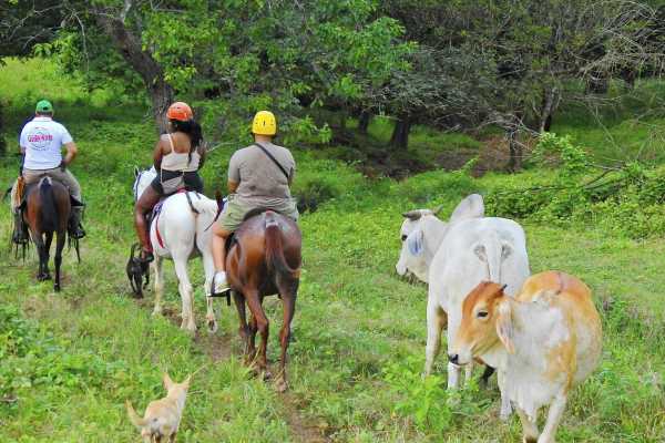 Horseback Riding and Monkey Sanctuary Tour