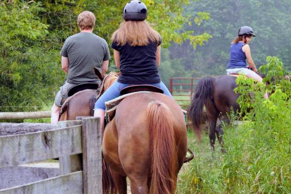Horseback Riding and Monkey Sanctuary Tour