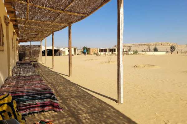Day trip to Wadi Al Hitan-The valley of whales from Cairo