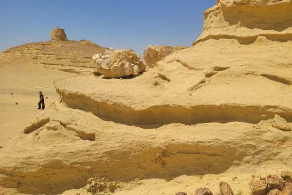 Day trip to Wadi Al Hitan-The valley of whales from Cairo