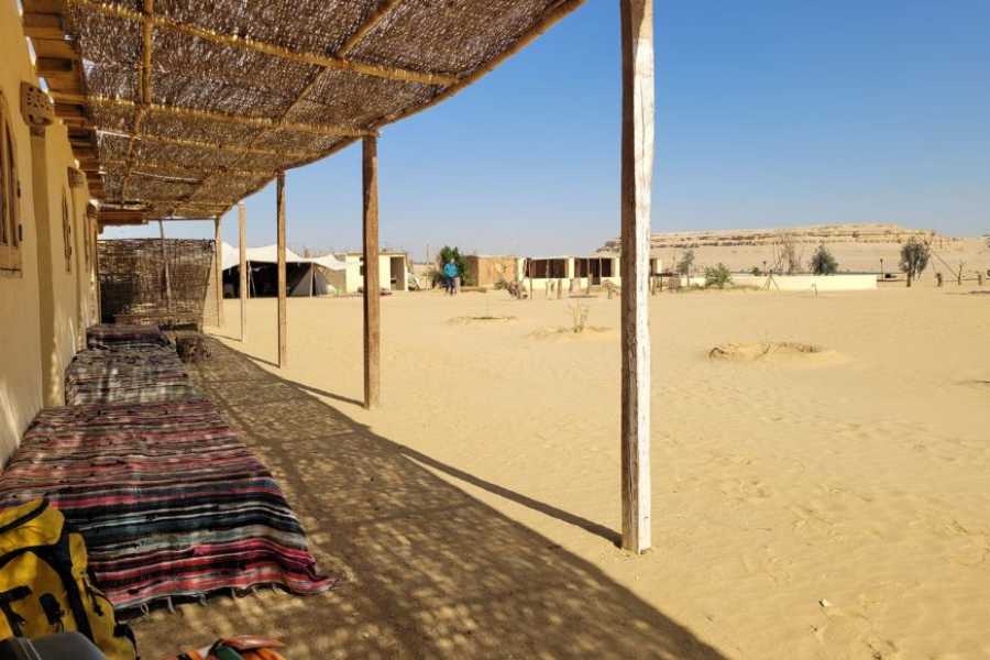 Egypt Tour packages Day trip to Wadi Al Hitan-The valley of whales from Cairo
