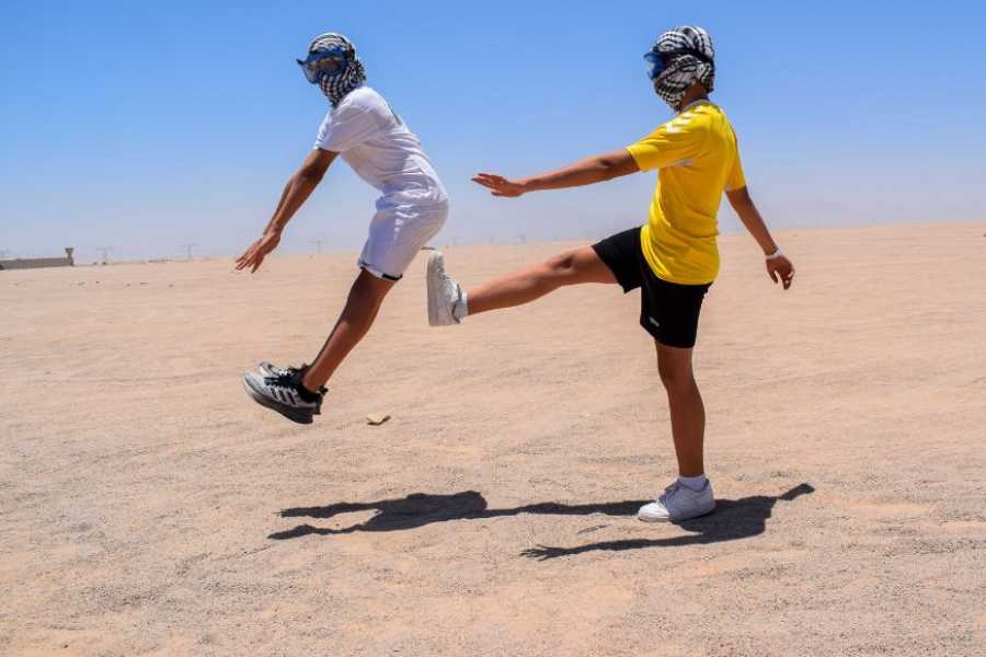 Egypt Tour packages Day trip to Wadi Al Hitan-The valley of whales from Cairo
