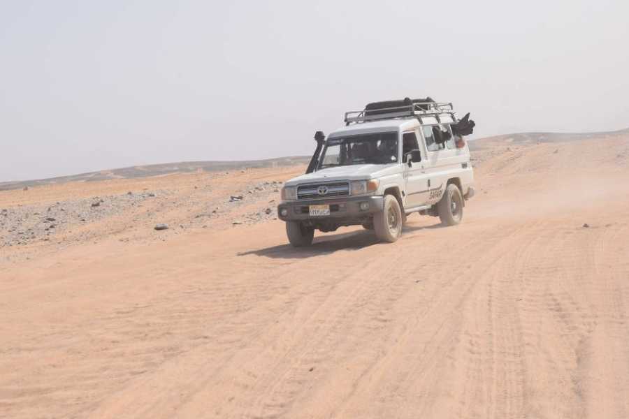 Egypt Tour packages Day trip to Wadi Al Hitan-The valley of whales from Cairo