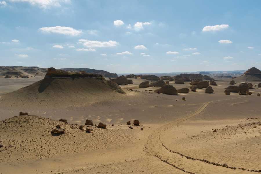Egypt Tour packages Excursión a wadi el Hitan valle de las ballenas desde El Cairo
