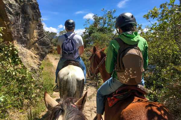 Experienced Horseback Riding