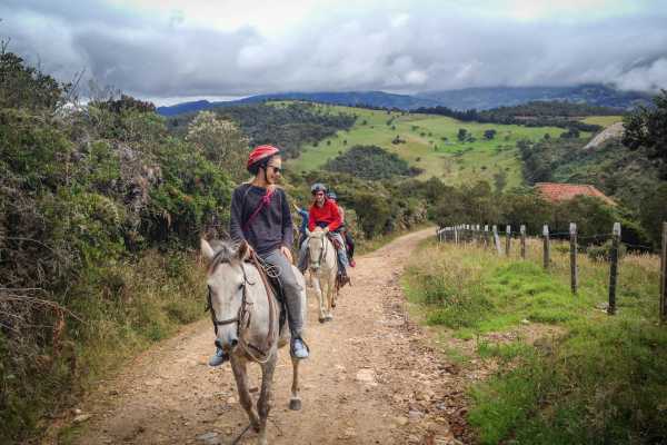 Experienced Horseback Riding