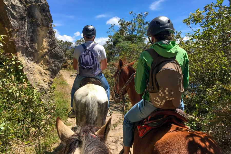 Andes Ecotours Experienced Horseback Riding