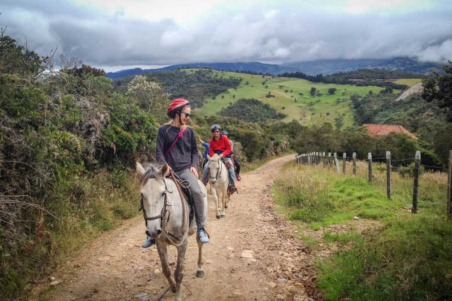 Andes Ecotours Experienced Horseback Riding