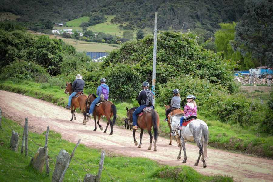 Andes Ecotours Experienced Horseback Riding