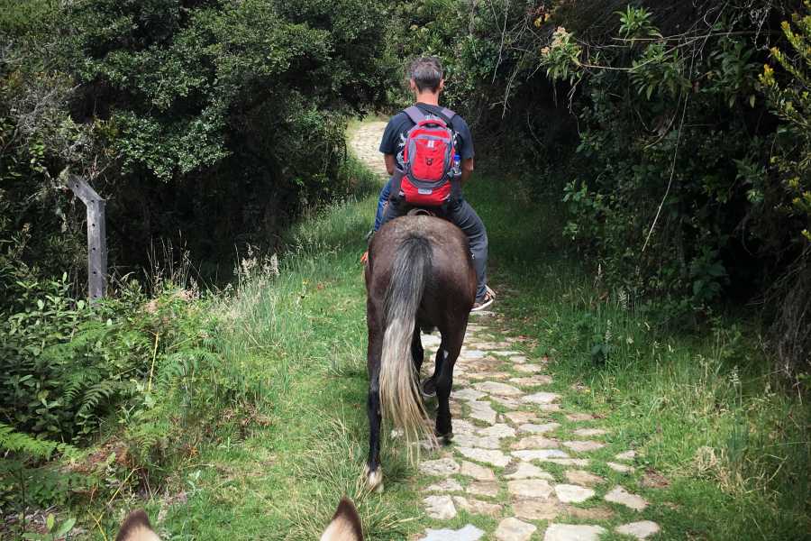Andes Ecotours Experienced Horseback Riding