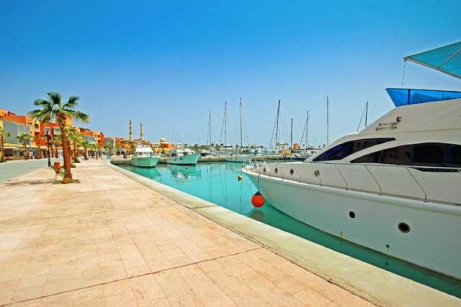 Egypt Tour packages Abu Dabbab  Snorkeling Trip from Hurghada