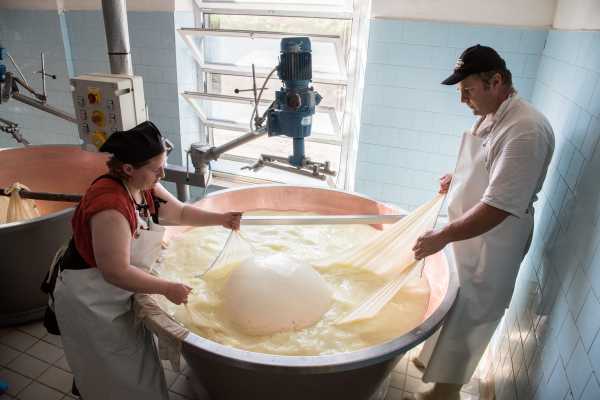TASTY BUS: Parmigiano Reggiano, Prosciutto di Parma & Aceto Balsamico- giornata intera