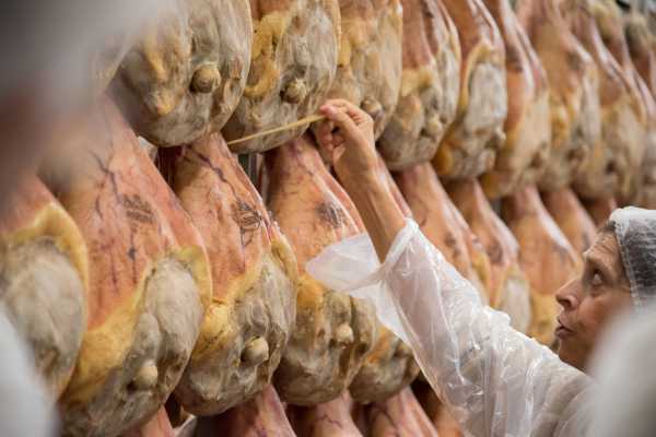 TASTY BUS: Parmigiano Reggiano, Prosciutto di Parma & Aceto Balsamico- giornata intera