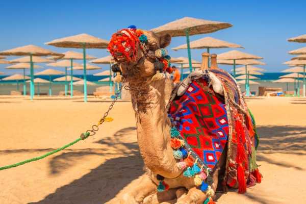 Transfer from Hotel in Hurghada to Hurghada Airport