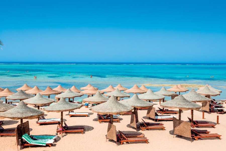 Egypt Tour packages Traslado desde el hotel en Portghalib al aeropuerto de Marsa Alam.