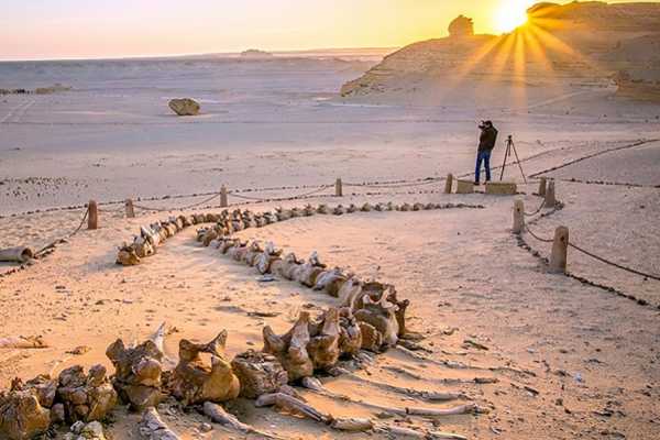 15 DAYS EGYPT TOUR PACKAGE
