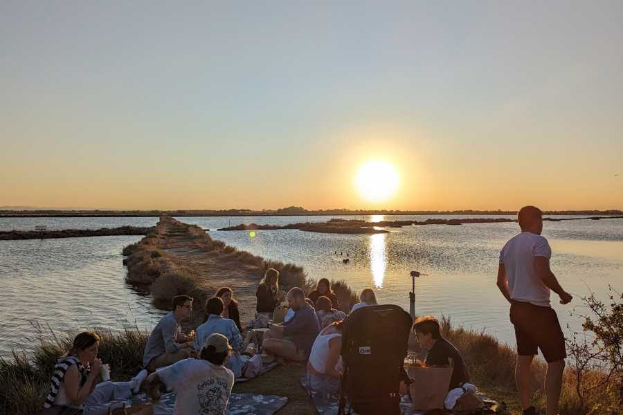 Discover Cervia (ERW) Salina di Cervia en bateau &ndash; Aperitif au coucher du soleil