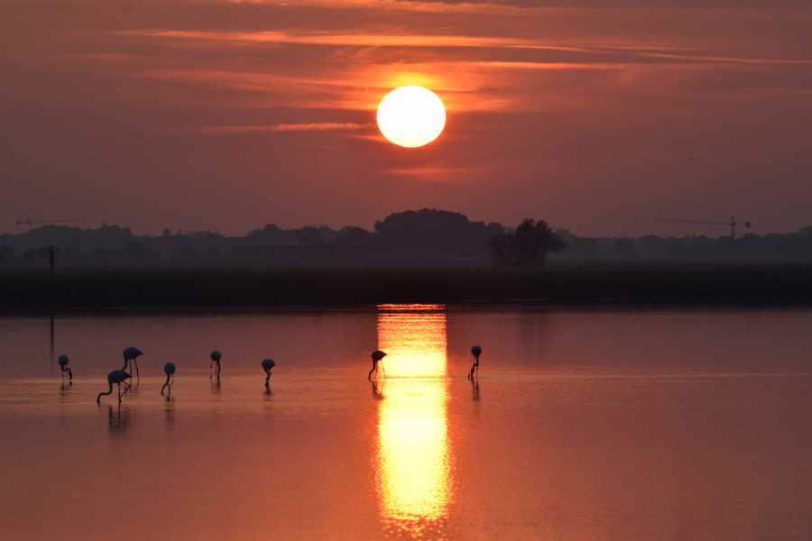 Discover Cervia (ERW) Salina di Cervia en bateau &ndash; Aperitif au coucher du soleil