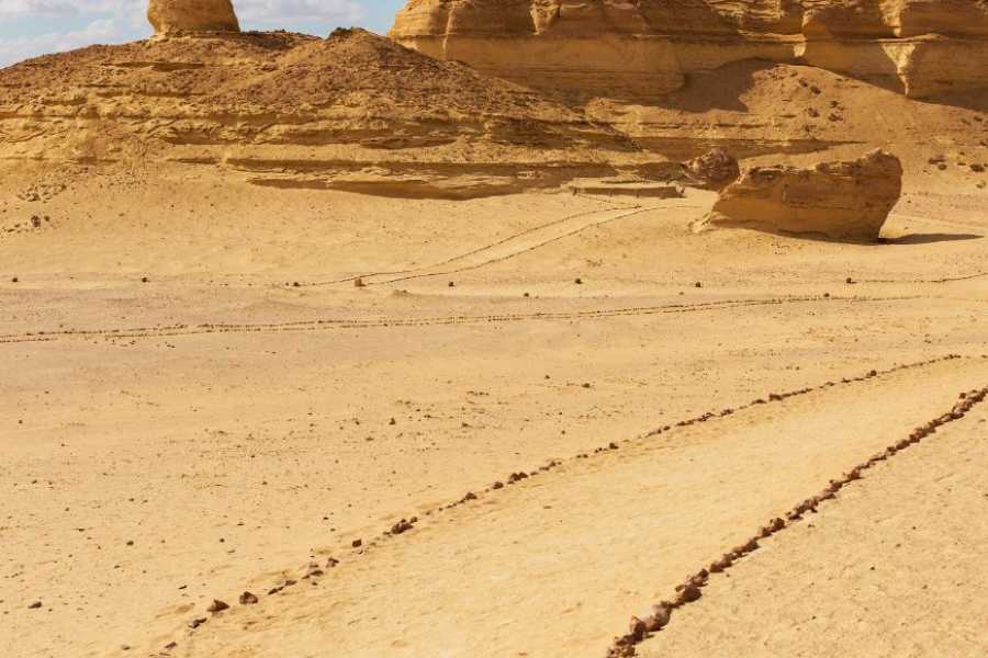 Egypt Tour packages 5 Day Egypt Itinerary for Cairo