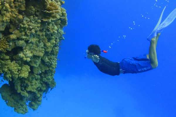 Shaab Samadai Snorkeling Trip From Marsa Alam