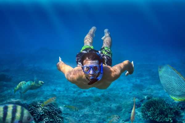Shaab Samadai Snorkeling Trip From Marsa Alam