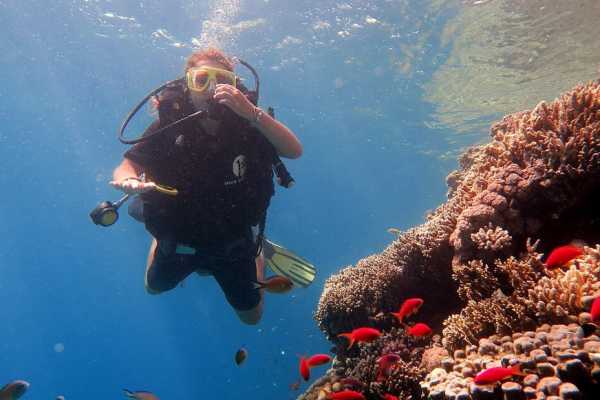 Shaab Samadai Snorkeling Trip From Marsa Alam